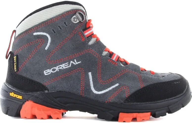 Boreal aspen bota trekking niño  (35)