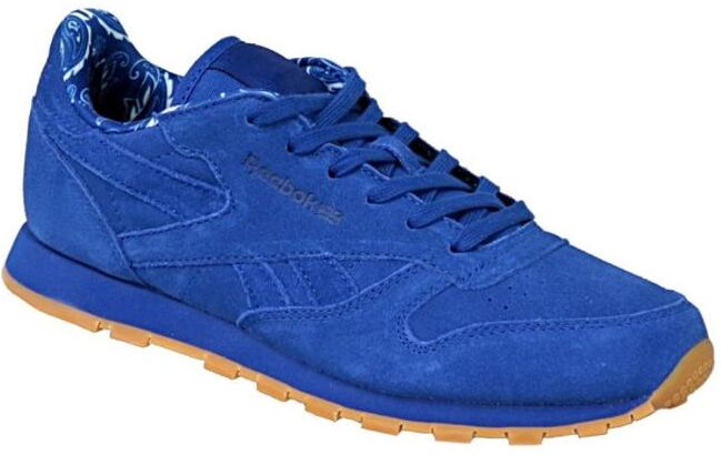 Lasten vapaa-ajan kengät Reebok Classic Leather TDC JR BD5052