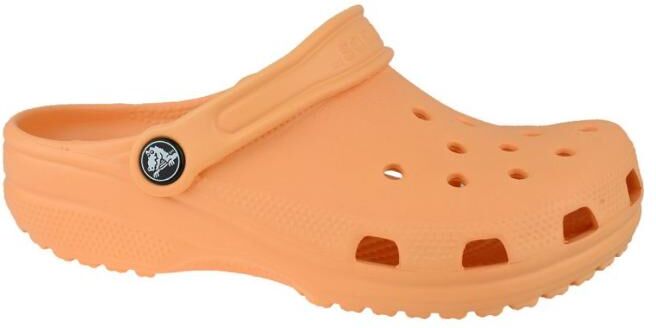 Lasten sandaalit Crocs Crocband Clog K Jr 204536-801