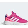 adidas Nebzed Schoenen met Elastische Veters en Klittenband Lucid Fuchsia / Cloud White / Cloud White 28,28 1/2,29,30,30 1/2,31,31 1/2,32,33,33 1/2,34,35,35 1/2,36,36 2/3,37 1/3,38,38 2/3,39 1/3,40 Kinderen