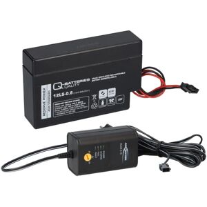 Ansmann Ladegerät mit 1x Blei-Akku 12V 0,8Ah 12LS-0.8 Heim & Haus Molex Stecker