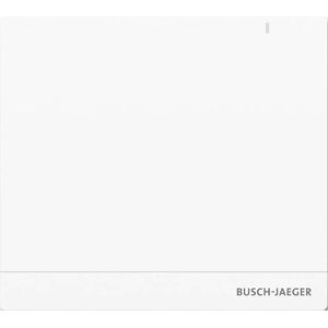 Busch-Jaeger System Access Point 2.0 Wireless SAP/S.13 - 2CKA006200A0154