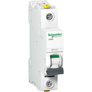 Schneider Electric LS-Schalter 1P 2A C IC60H A9F07102