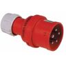 PCE - CEE-Stecker 5 Pol. 32A 400 v mit Phasenwender