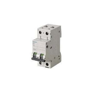 SIEMENS Automatsikring C 6A, 2 polet C-karakteristik 6kA kortslutningsbryedevne 400AC, 60VDC, 36 mm bred