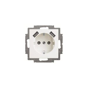 ABB-basic55 USB/Schuko-stikkontakt, blank hvid, 16A, 1 modul,leveres inklusive afdækning med pillesikring