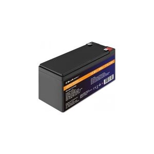 QOLTEC 53700 LiFePO4 lithium iron phosphate battery / 12.8V / 9Ah / 115.2Wh / BMS