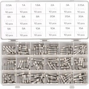 Asta Surtido con 180 fusibles de tubo 20 x 5mm.   0.5 - 30 A (Fusibles de vidrio rápido)