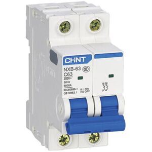 Chint Interruptor Automatico  Nxb-63-2-32c 2p 32a 6ka