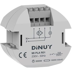 Dinuy Minutero Rf Caja De Registro  Mi Pla R01