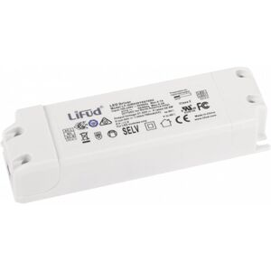 Hofflights Driver  On-Off 4.1013.1105 700ma 19-30w 100-240v