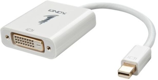 LINDY Adaptador LINDY 41733 Mini DisplayPort DVI-D Blanco 0,17 m