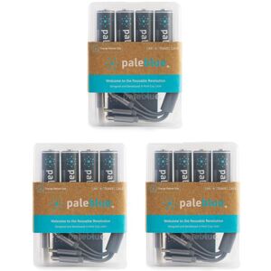 PaleBlue 12 Piles Rechargeables USB-C AA / HR6 1700mAh PaleBlue Lithium Ion 1.5V