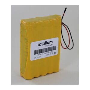 Exalium Premium - Batterie 24V 700mAh NiCd 106863 pour Porte Geze Slimdrive dcu 1 - Publicité