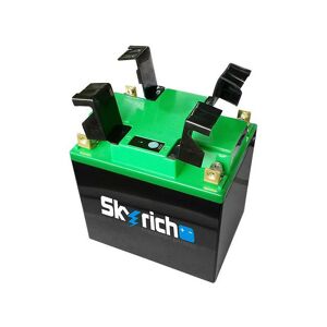 SKYRICH Batterie Lithium U1/ U1R Motoculture avec bouton ON/OFF - 4 bornes - Publicité