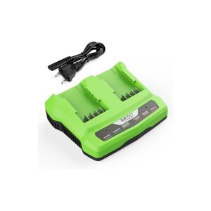 ME Chargeur de Batterie 24 v pour Greenworks Tools 24 v Compatible avec Toutes Les Batteries de la série Greenworks 24 v 2A - Publicité