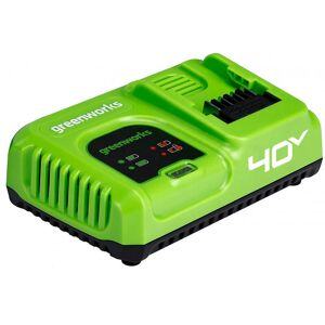 GREENWORKS Chargeur de batterie G40UC5 (Li-Ion 40V, 5A, 30 minutes de charge pour 2Ah (50 minutes pour 4Ah) convient à toutes les batteries de la série 40V - Publicité