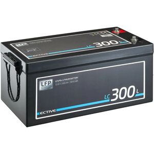 Ective - lc 300L Batterie Décharge Lente 12V 3840Wh 300Ah LiFePO4 Lithium Solaire 520 x 268 x 228 mm - Publicité