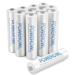 Lot de 4 accumulateurs / batterie LR20 (D) rechargeables Ansmann 10000 mAH  NiMH
