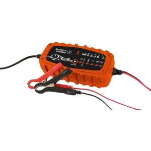 XLP TOOLS - Chargeur de batterie pour Batteries au plomb 6V et 12 Et compatible batteries LITHIUM 12.8V (Ref: 553985)