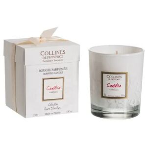 Collines de Provence Bougie Camelia 250g