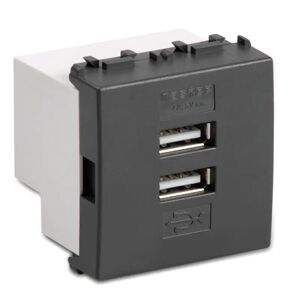Double alimentation USB Master Mode 4A gris 31213.2