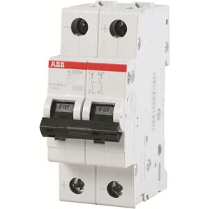 Abb Interrupteur magnétothermique-ABB 2P 6A 10KA-C 2M S202M S550260