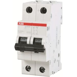 Abb Interrupteur magnétothermique -ABB 2P 16A 10KA C 2M S202M S550307