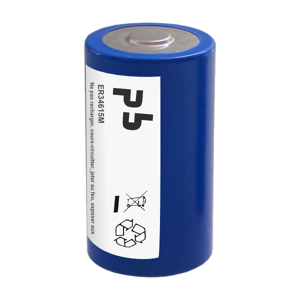 Microbatt Pile lithium 3.6V ER34615M D LR20