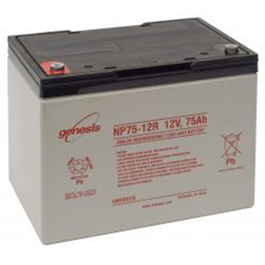 Enersys BATTERIE PLOMB ETANCHE ENERSYS NP55-12 - 12V 55Ah