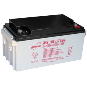 Enersys BATTERIE PLOMB ETANCHE ENERSYS NP65-12 - 12V 65Ah