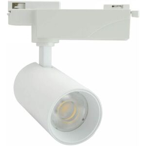 LEDDIRETTO Faro LED 30W Monofase 60° 120lm/W, CRI92 no Flickering - BRIDGELUX LED