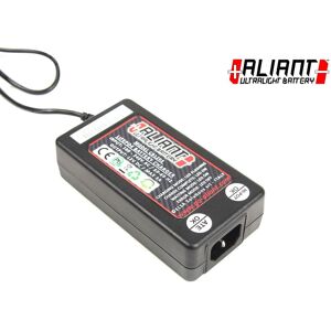 Carica Batterie Veloce / Mantenitore Aliant Per Batterie A Litio Universale