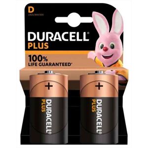 Duracell Plus 100 Torcia(d) 2 Pezzi Blister Mn1300