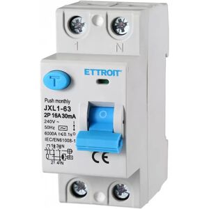 Interruttore differenziale puro Salvavita modulare 2P 16A 30mA 6KA 220V Ettroit