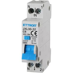 Interruttore magnetotermico differenziale modulare compatto 1P+N 6A 30mA 4.5KA 220V Ettroit