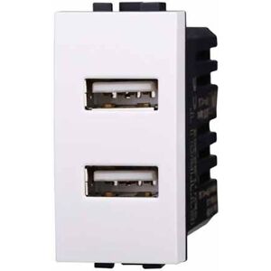 Ettroit Presa Caricatore Doppia Usb Type-A Compatibile Bticino Livinglight 5vdc 2.1a Colore Bianco