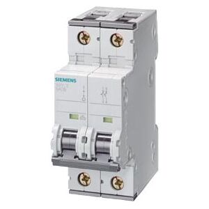 Siemens 5SY5202-7 interruttore automatico Interruttore in miniatura 2 (5SY5202-7)