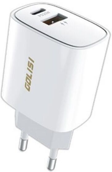 Golisi Presa Da Muro Gl-B02 Ingressi Usb-A E Usb-C