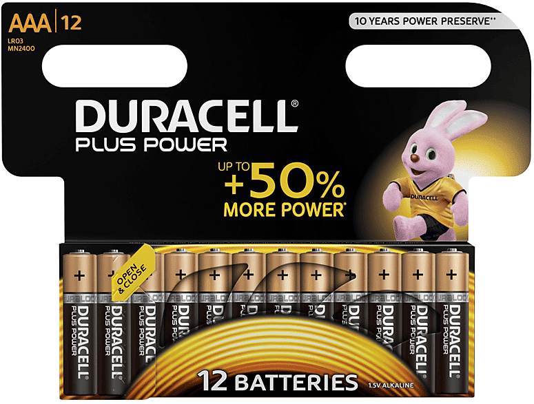 Duracell BATTERIE  B12 AAA PLUS