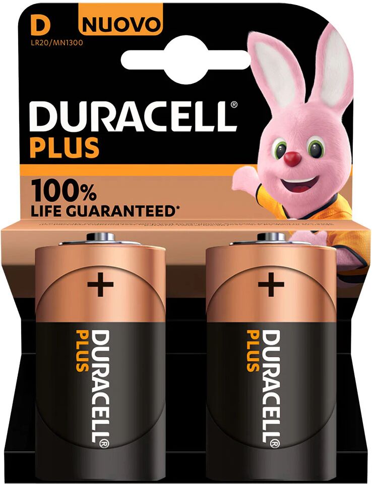 Duracell Plus 100 D B2 x10