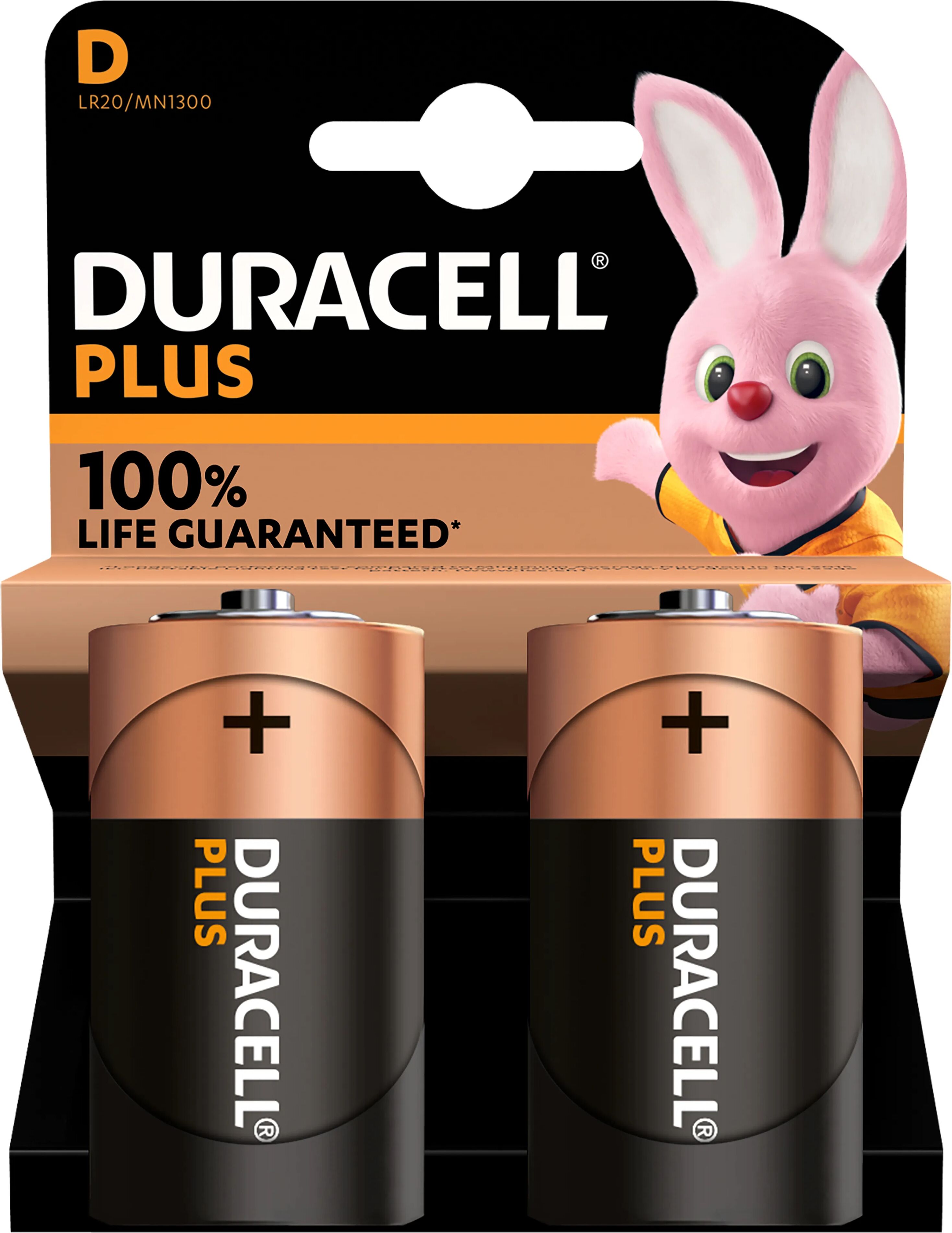 Tecnomat 2 BATTERIE DURACELL TORCIA D ALCALINE 3MN1300 PLUS100