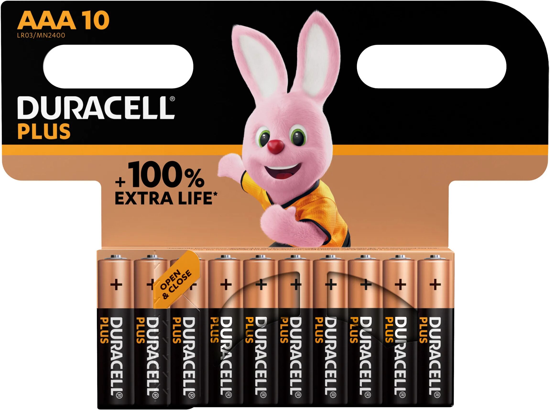 Tecnomat 10 BATTERIE DURACELL PLUS MINISTILO 100 AAA 1,5V B12 MN2400