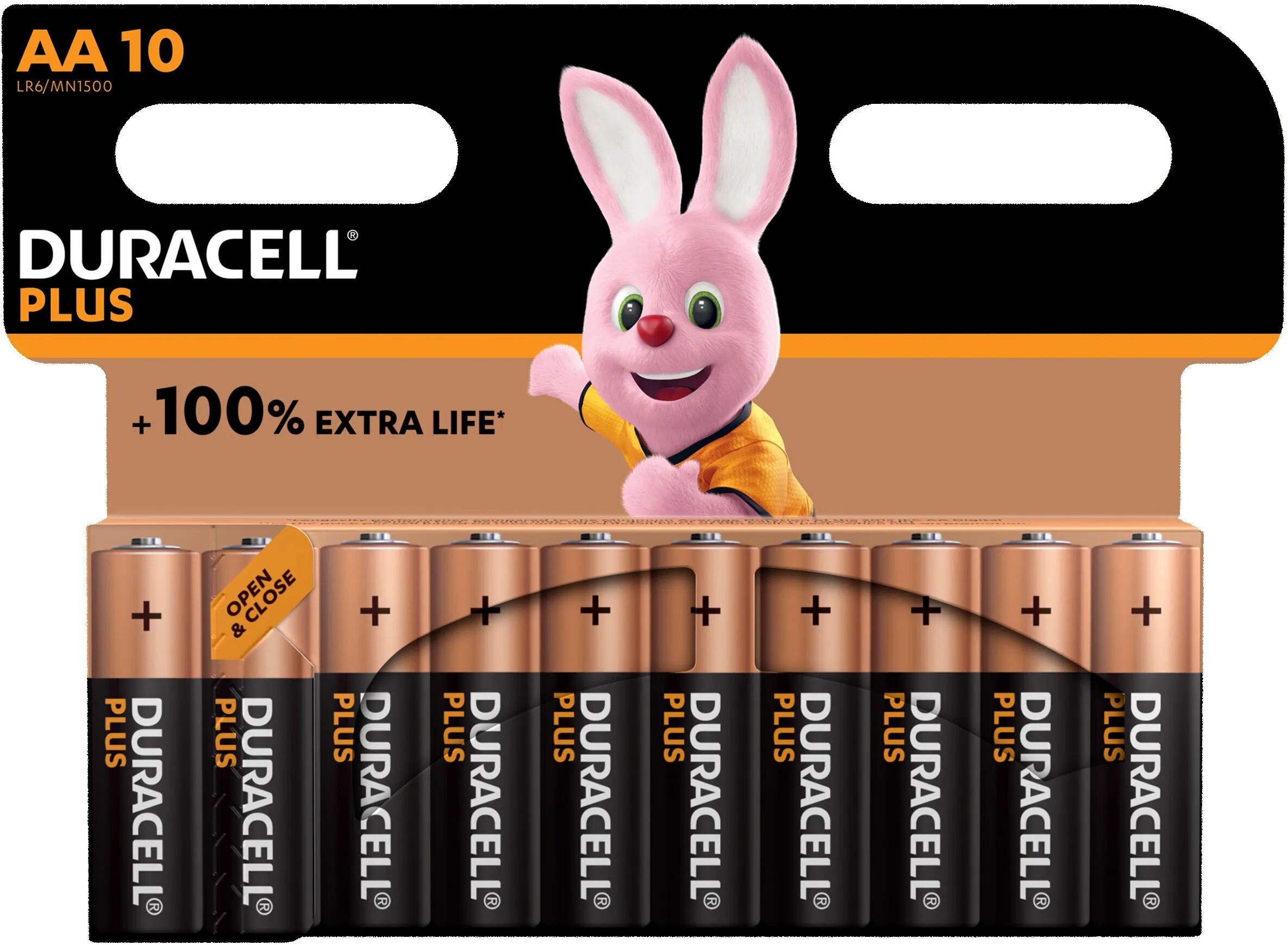 Tecnomat 10 BATTERIE DURACELL PLUS 100 STILO AA 1,5V MN1500