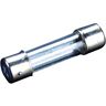 WOLFPACK LINEA PROFESIONAL Wolfpack 19030758 glaszekering Ø 5 x 20 mm / 15 A (100 stuks)