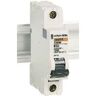 Schneider Electric Schneider 24114 INT. AUT. C60N 1P 6A B UL/CSA, wit