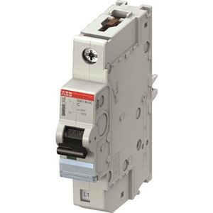 ABB Circuit Breaker Type C, Pole 1 63A 220V SMISSLINE TP DIN Rail Mount