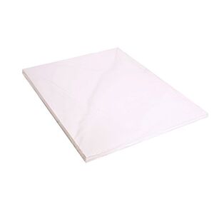 Clairefontaine 93669C Un paquet de carton Mousse 5 feuilles 29,7x42 cm, épaisseur 10 mm, Blanc - Publicité
