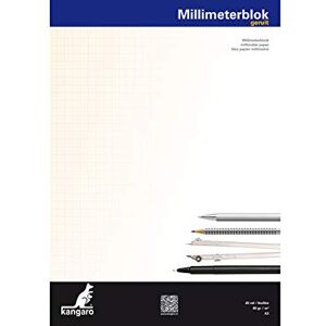 Kangaro Lot de 5 blocs de 25 feuilles de papier  A3 80 g - Publicité