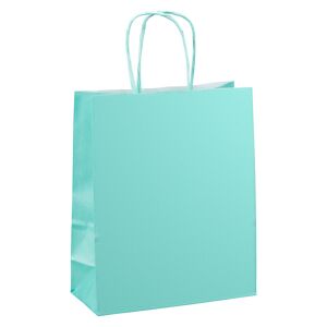 Sac magasin kraft poignées torsadées vert clair 18 x 8 x 22 cm - Paquet de 50 Argent - Publicité